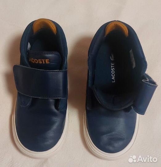 Кеды кроссовки lacoste для мальчика размер 25 EUR