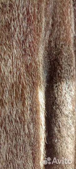 Шуба нутрия