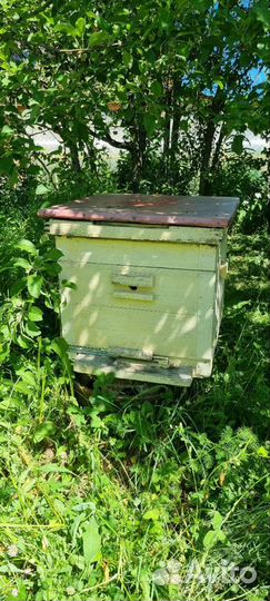 Улей для пчел