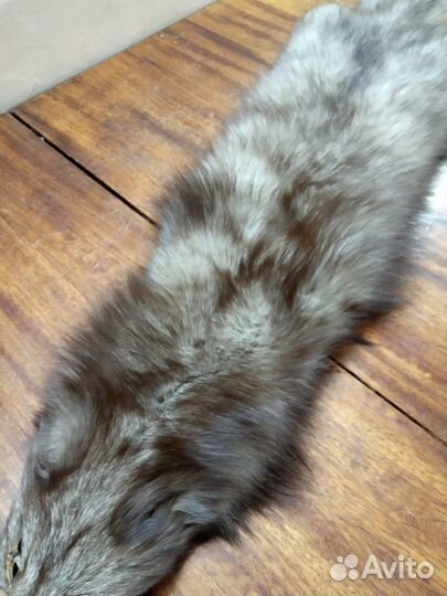 Шкурка животного
