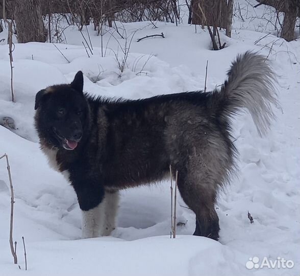 Крутой пацан