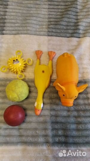 Игрушки для собак