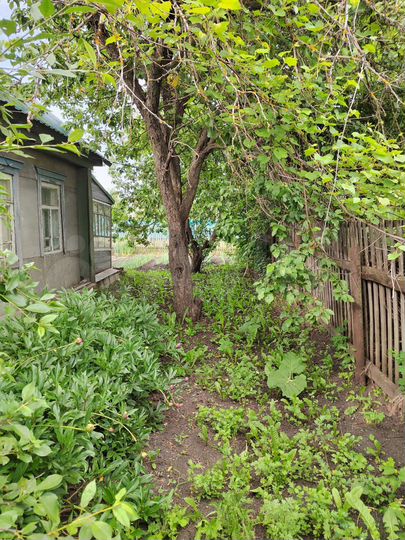 Дом 56,5 м² на участке 7 сот.