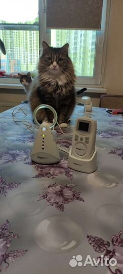 Радионяня Angelcare