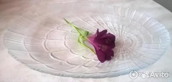 Тарелки столовые (новые)