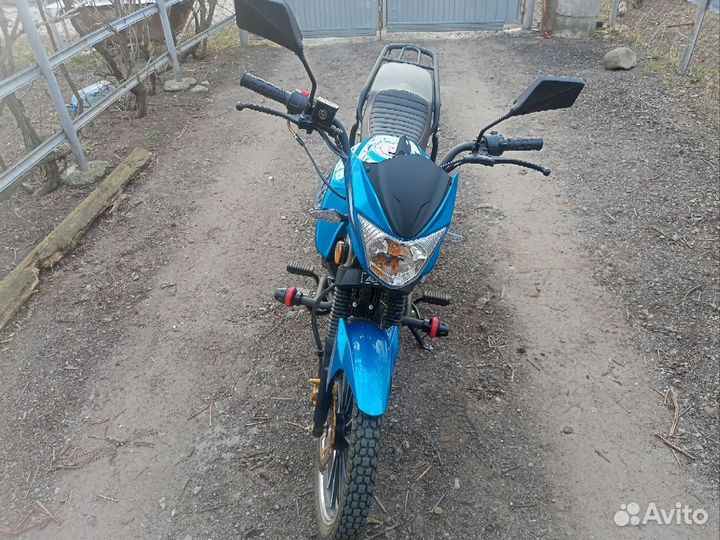 Aльфа Millennium Champ RS 13