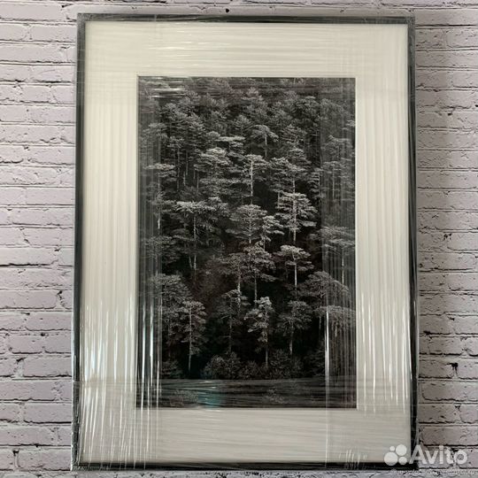 Фотокартина