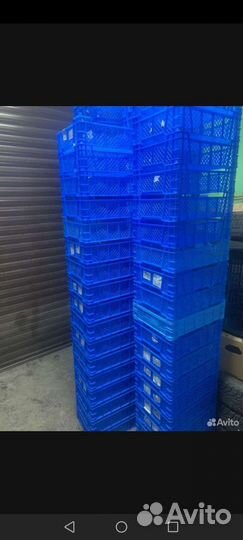 Ящики грибные