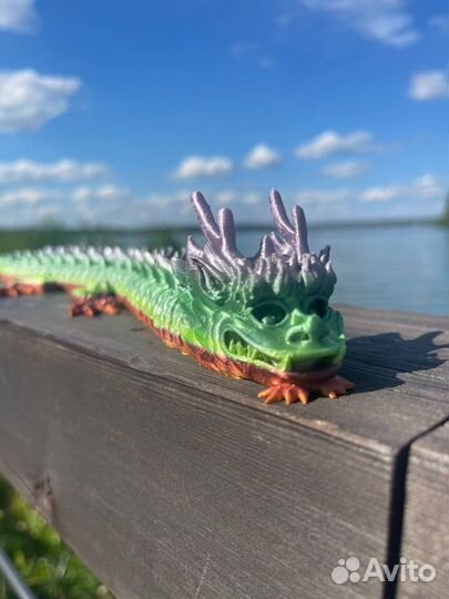 Подвижный дракон китайский