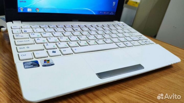 Asus нетбук для удаленки