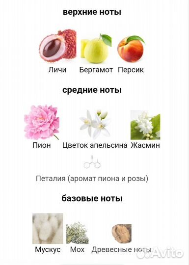 Ex nihilo fleur narcotique, 5 мл