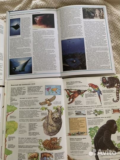 Книги для детей пакетом