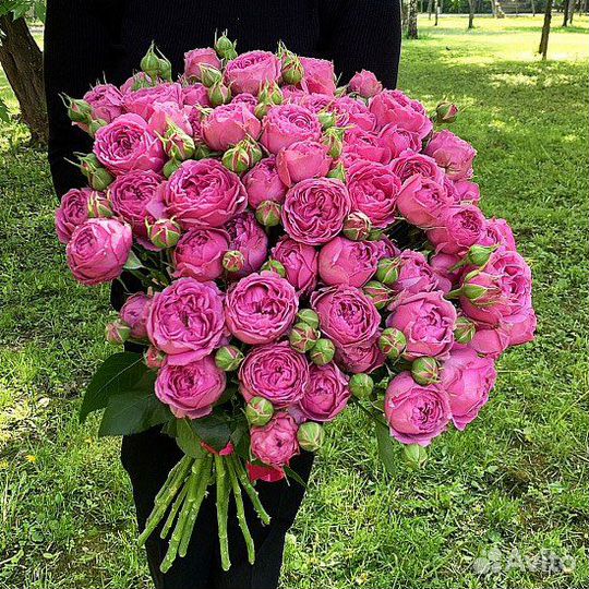 Пионовидные розы Букет Доставка