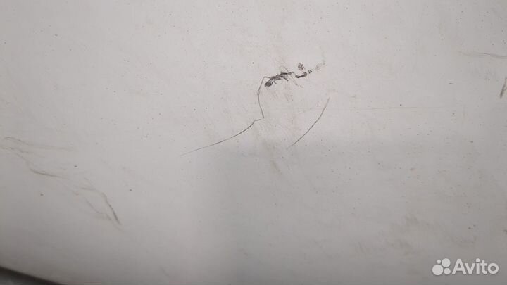 Капот Opel Vivaro, 2014