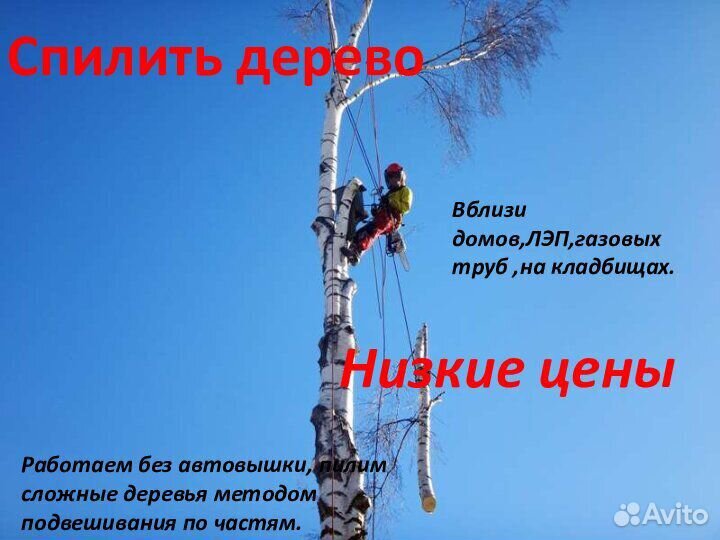Спилить дерево