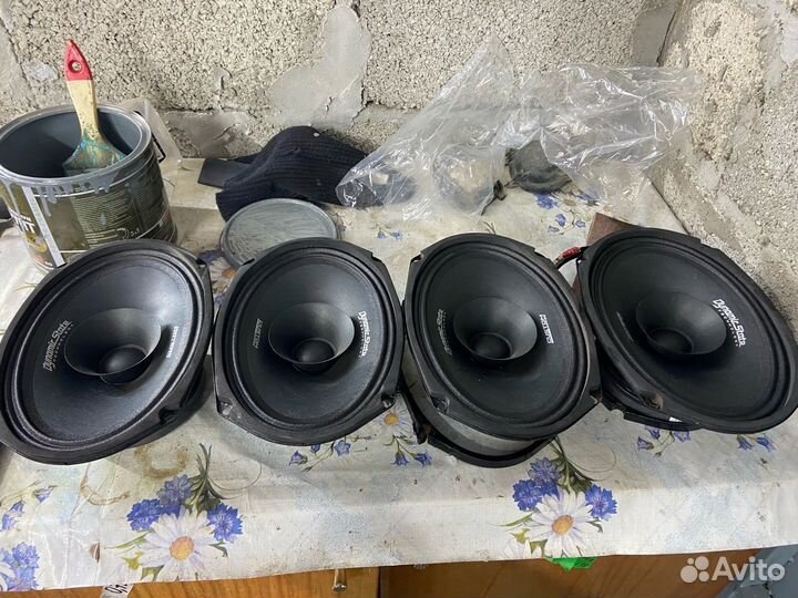 Динамики овалы