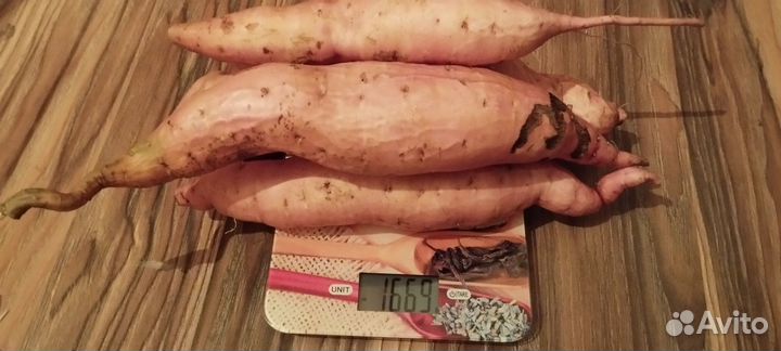 Батат,сладкая картошка