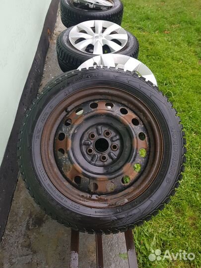 Nokian Tyres Nordman 5 205/55 R16