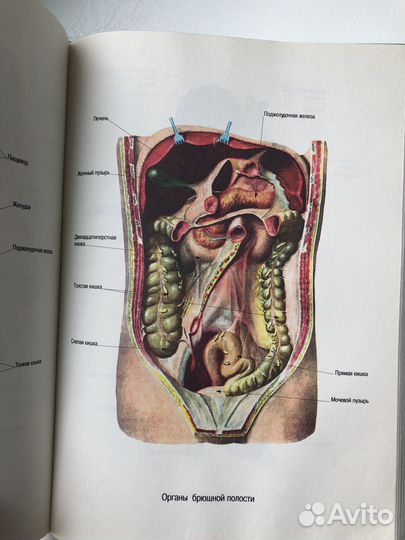 Энциклопедия народной медицины