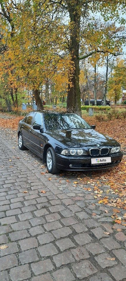 BMW 5 серия: фото владельца