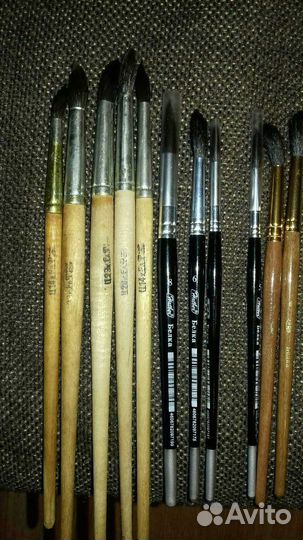 Кисти СССР, и Белка