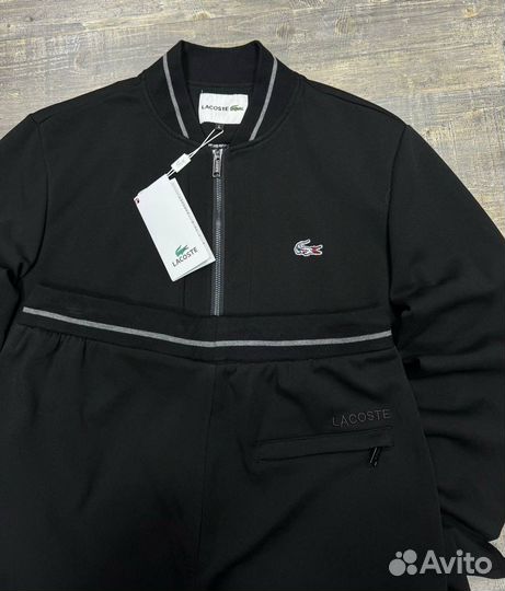 Спортивный Костюм Lacoste Размеры 48-56