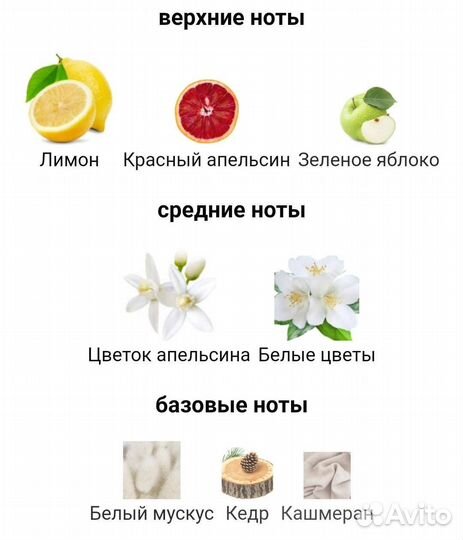 Dolce gabbana light blue forever