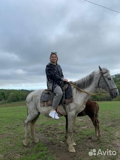 Конные прогулки