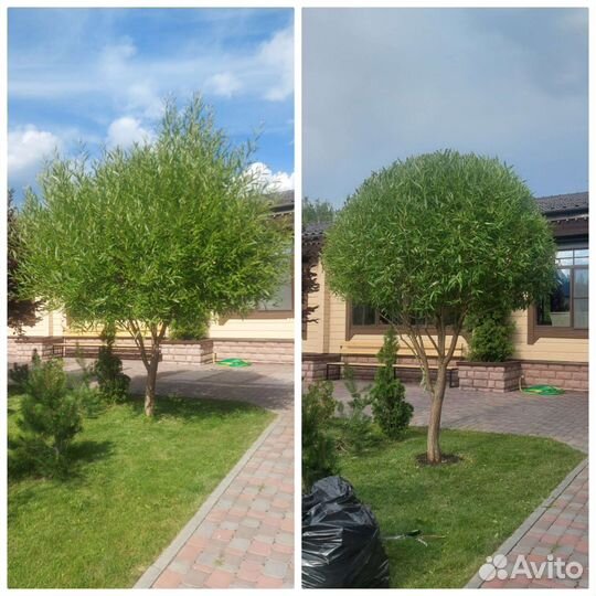 Уход за садом