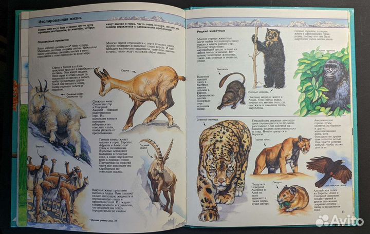 Детская энциклопедия 