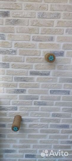 Когтеточка