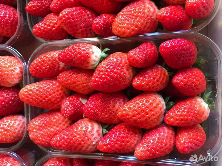 Свежие овощи, зелень с теплицы