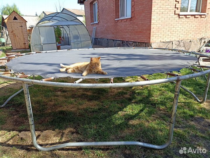 Детский батут для улицы