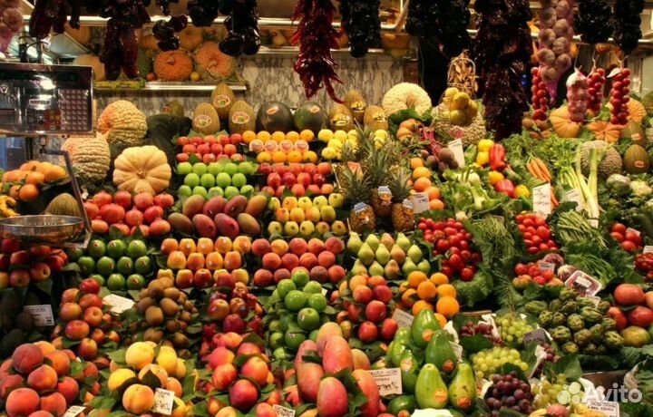 Обучение в открытие магазинов фрукты овощи