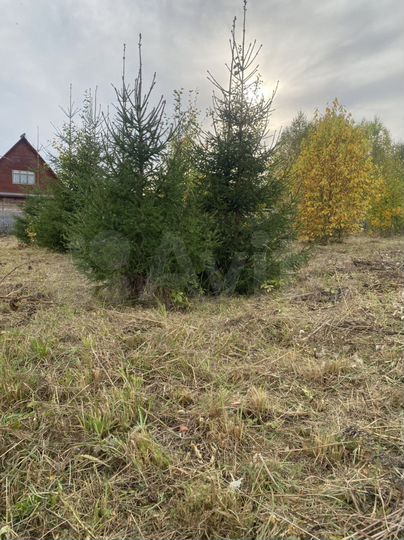 Участок 10 сот. (СНТ, ДНП)