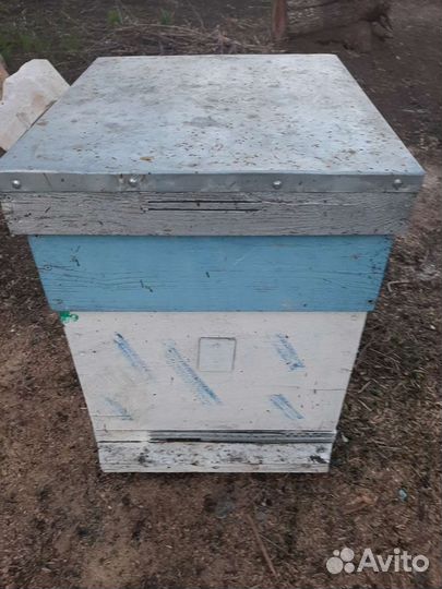 Продам ульи дадан