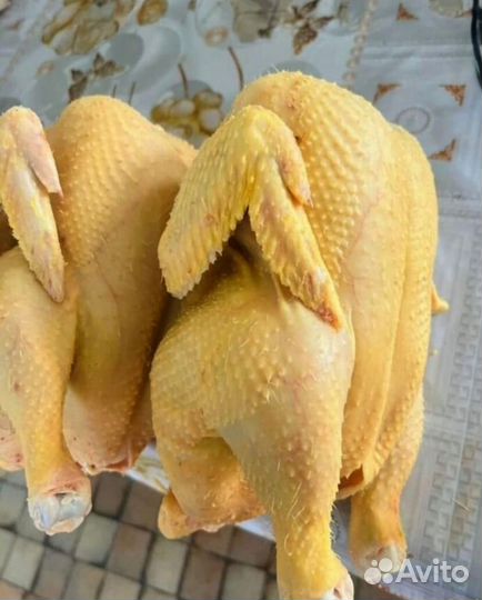 Мясо кур бройлер