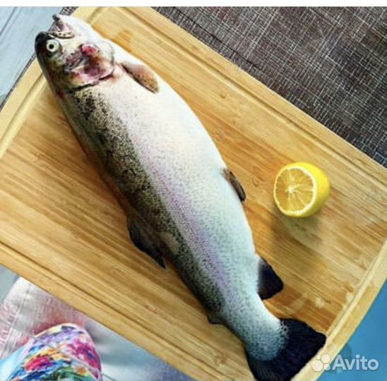 Живая форель