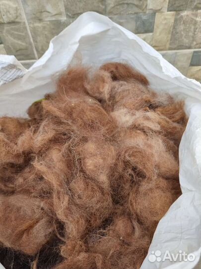 Собачья шерсть