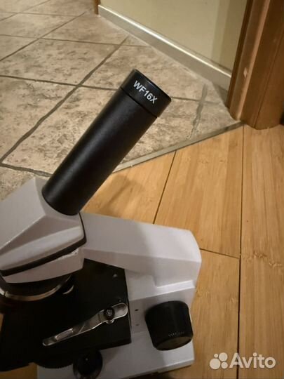 Микроскоп Levenhuk Rainbow 2L plus