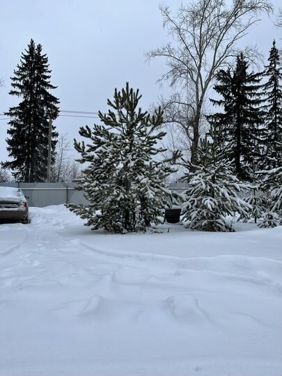 Дом 100 м² на участке 6 сот.