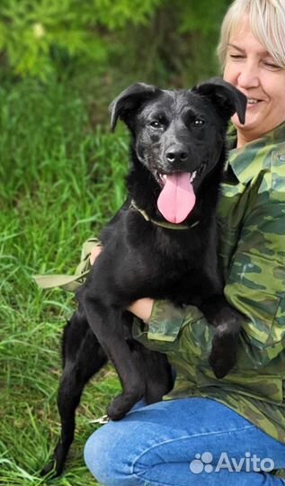 Малыш ждет семью