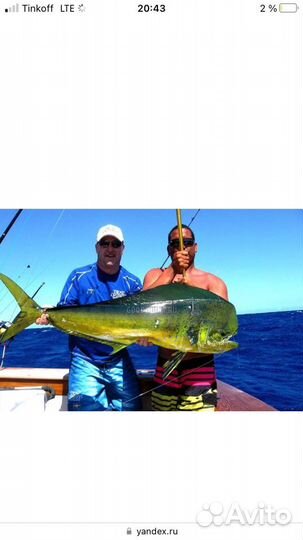 Экскурсии в Анапе