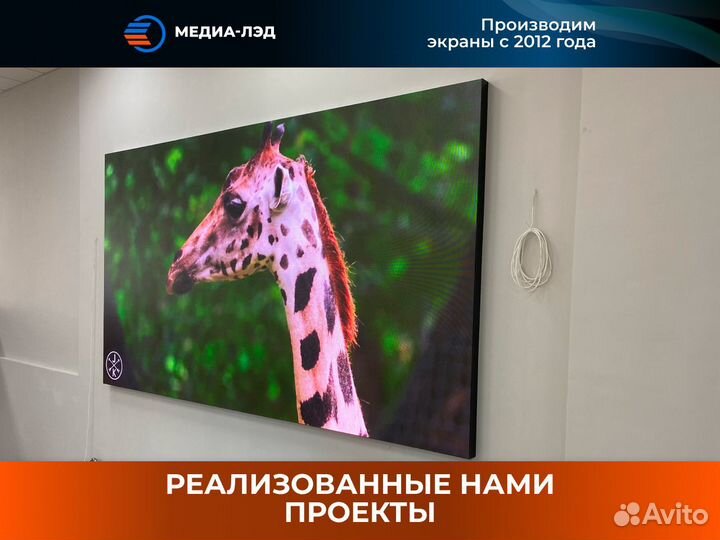 LED экран Для магазинов P1.53 PRO