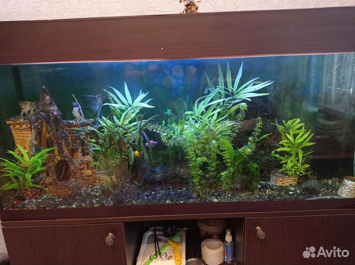 Аквариум