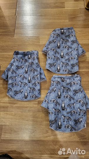 Одежда для йорка, размер м