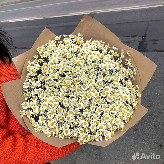 Букеты ромашек