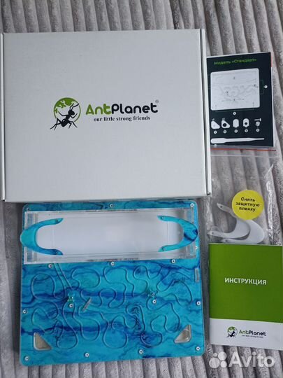 Муравьиная ферма