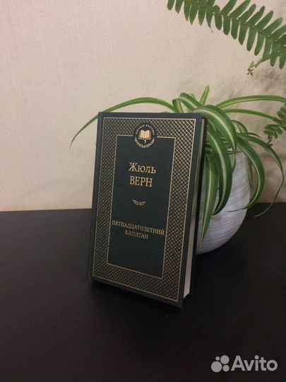 Пятнадцатилетний капитан