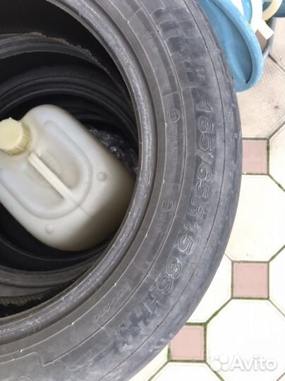 Белшина Бел-81